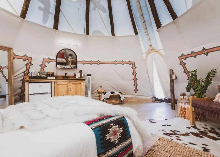 Toro Tipi At El Mistico Ranch